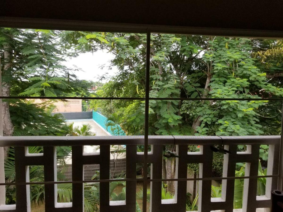 Apartamento En Dominican Bay Boca Chica サントドミンゴ エクステリア 写真